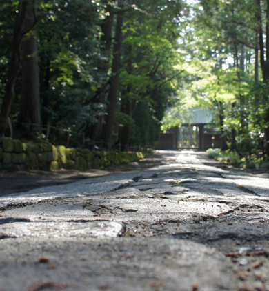 湘南・鎌倉が大好きな私たちがプランを提案します。 画像